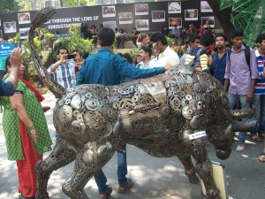 kala ghoda_2014