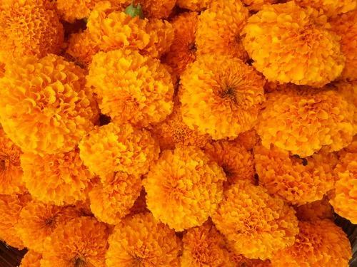 Marigold Garlands