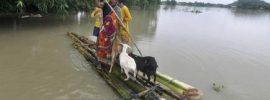 Assam floods